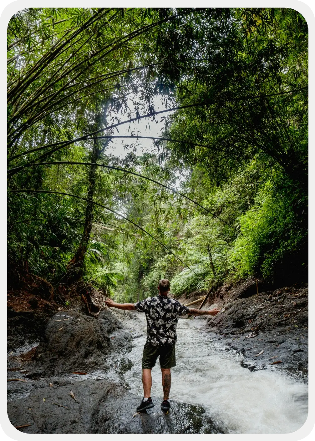 Descubre todos los destinos ecoturísticos de Colombia con Siempre Colombia: Amazonas, La Guajira, Zona Cafetera, Parque Nacional Tayrona, Llanos Orientales, Chocó Biogeográfico, Sierra Nevada de Santa Marta, San Andrés, Guaviare, Putumayo, Caquetá, Santander, Sierra de la Macarena, entre otros. Vive la aventura, biodiversidad, cultura y naturaleza con turismo responsable.