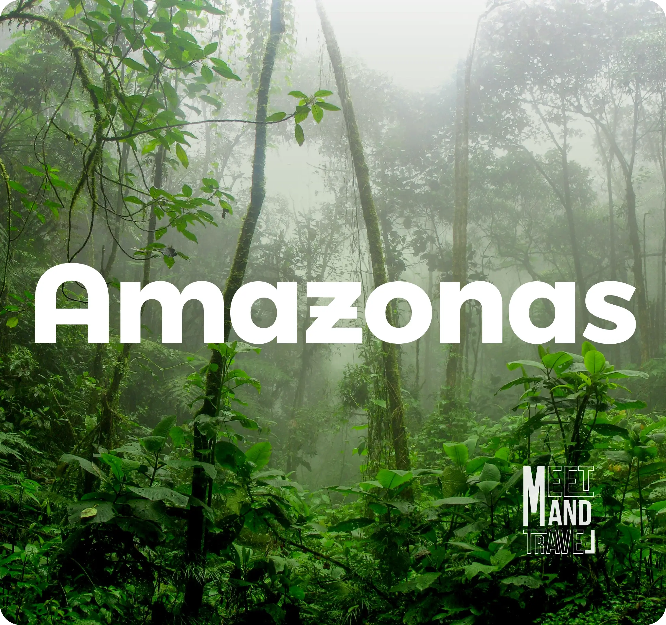 Descubre todos los destinos ecoturísticos de Colombia con Siempre Colombia: Amazonas, La Guajira, Zona Cafetera, Parque Nacional Tayrona, Llanos Orientales, Chocó Biogeográfico, Sierra Nevada de Santa Marta, San Andrés, Guaviare, Putumayo, Caquetá, Santander, Sierra de la Macarena, entre otros. Vive la aventura, biodiversidad, cultura y naturaleza con turismo responsable.