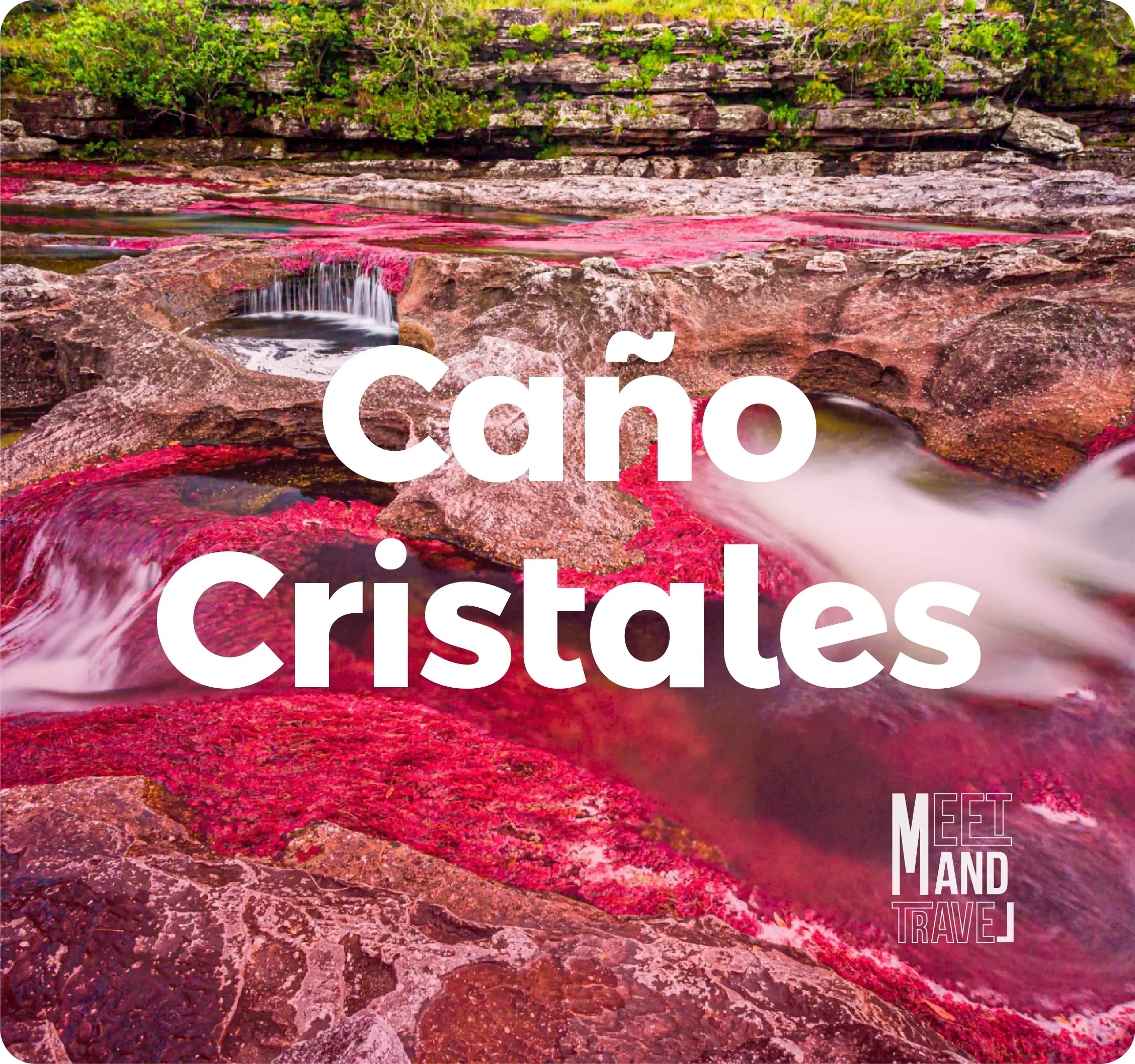 Descubre todos los destinos ecoturísticos de Colombia con Siempre Colombia: Amazonas, La Guajira, Zona Cafetera, Parque Nacional Tayrona, Llanos Orientales, Chocó Biogeográfico, Sierra Nevada de Santa Marta, San Andrés, Guaviare, Putumayo, Caquetá, Santander, Sierra de la Macarena, entre otros. Vive la aventura, biodiversidad, cultura y naturaleza con turismo responsable.