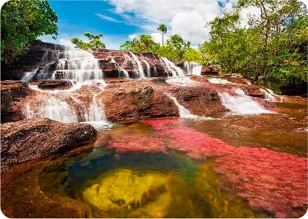 Descubre todos los destinos ecoturísticos de Colombia con Siempre Colombia: Amazonas, La Guajira, Zona Cafetera, Parque Nacional Tayrona, Llanos Orientales, Chocó Biogeográfico, Sierra Nevada de Santa Marta, San Andrés, Guaviare, Putumayo, Caquetá, Santander, Sierra de la Macarena, entre otros. Vive la aventura, biodiversidad, cultura y naturaleza con turismo responsable.