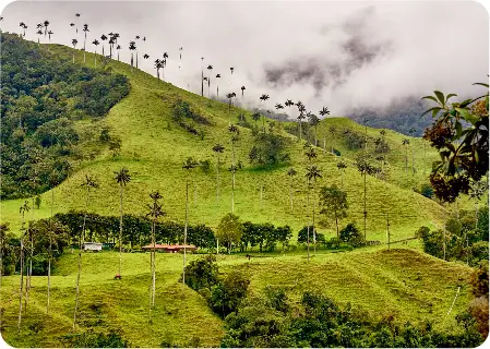 Descubre todos los destinos ecoturísticos de Colombia con Siempre Colombia: Amazonas, La Guajira, Zona Cafetera, Parque Nacional Tayrona, Llanos Orientales, Chocó Biogeográfico, Sierra Nevada de Santa Marta, San Andrés, Guaviare, Putumayo, Caquetá, Santander, Sierra de la Macarena, entre otros. Vive la aventura, biodiversidad, cultura y naturaleza con turismo responsable.