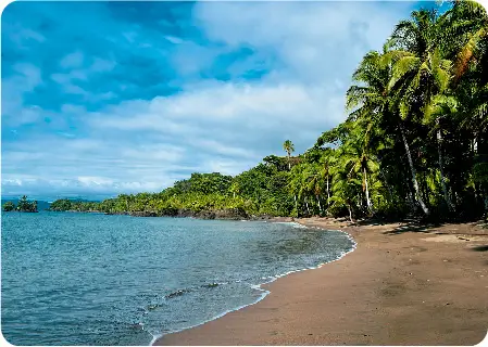 Descubre todos los destinos ecoturísticos de Colombia con Siempre Colombia: Amazonas, La Guajira, Zona Cafetera, Parque Nacional Tayrona, Llanos Orientales, Chocó Biogeográfico, Sierra Nevada de Santa Marta, San Andrés, Guaviare, Putumayo, Caquetá, Santander, Sierra de la Macarena, entre otros. Vive la aventura, biodiversidad, cultura y naturaleza con turismo responsable.