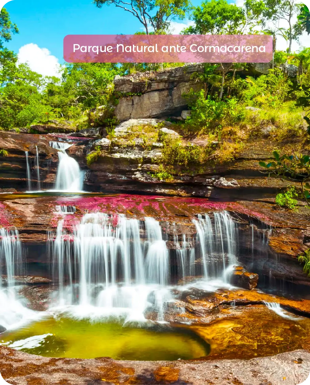 Descubre todos los destinos ecoturísticos de Colombia con Siempre Colombia: Amazonas, La Guajira, Zona Cafetera, Parque Nacional Tayrona, Llanos Orientales, Chocó Biogeográfico, Sierra Nevada de Santa Marta, San Andrés, Guaviare, Putumayo, Caquetá, Santander, Sierra de la Macarena, entre otros. Vive la aventura, biodiversidad, cultura y naturaleza con turismo responsable.