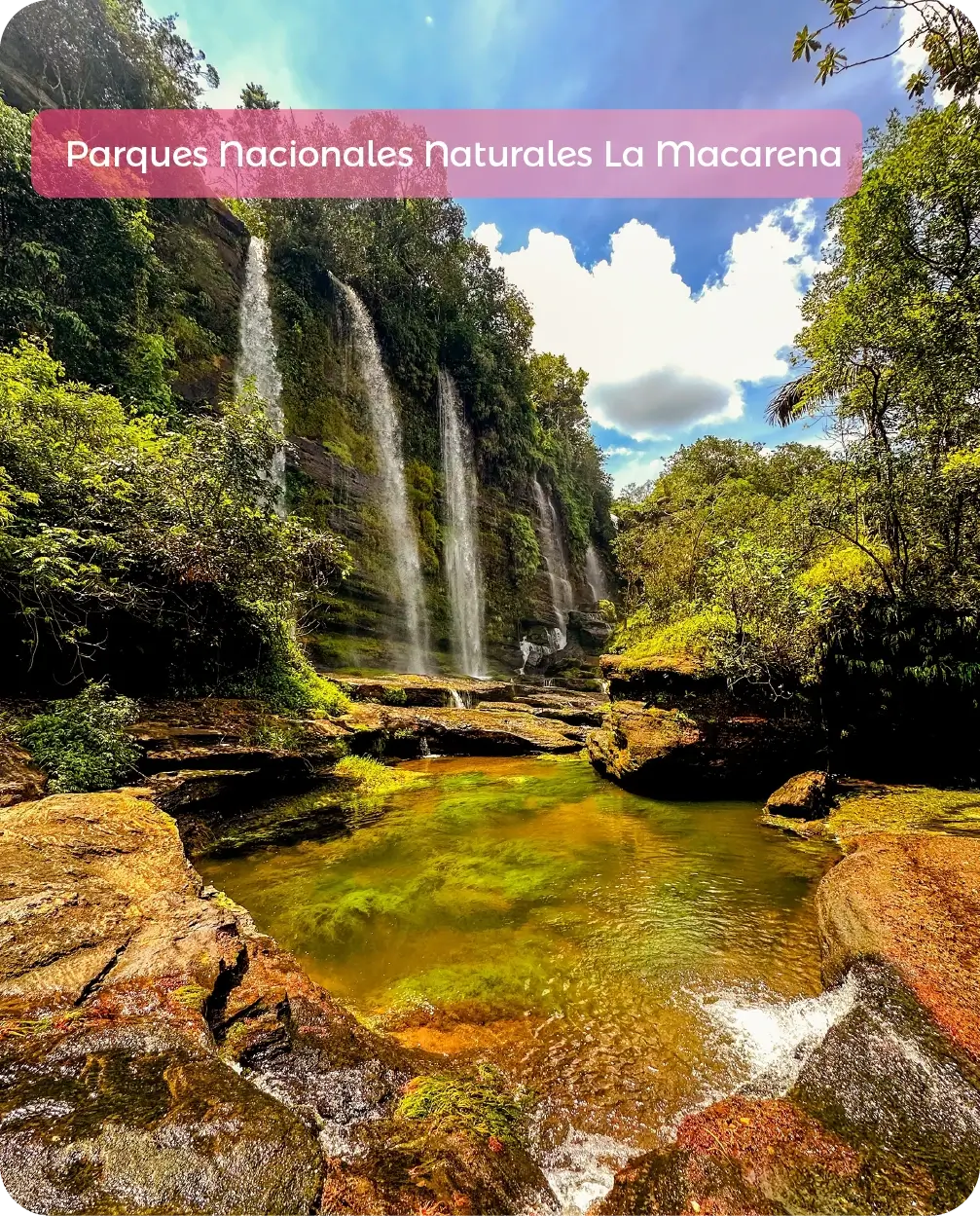 Descubre todos los destinos ecoturísticos de Colombia con Siempre Colombia: Amazonas, La Guajira, Zona Cafetera, Parque Nacional Tayrona, Llanos Orientales, Chocó Biogeográfico, Sierra Nevada de Santa Marta, San Andrés, Guaviare, Putumayo, Caquetá, Santander, Sierra de la Macarena, entre otros. Vive la aventura, biodiversidad, cultura y naturaleza con turismo responsable.