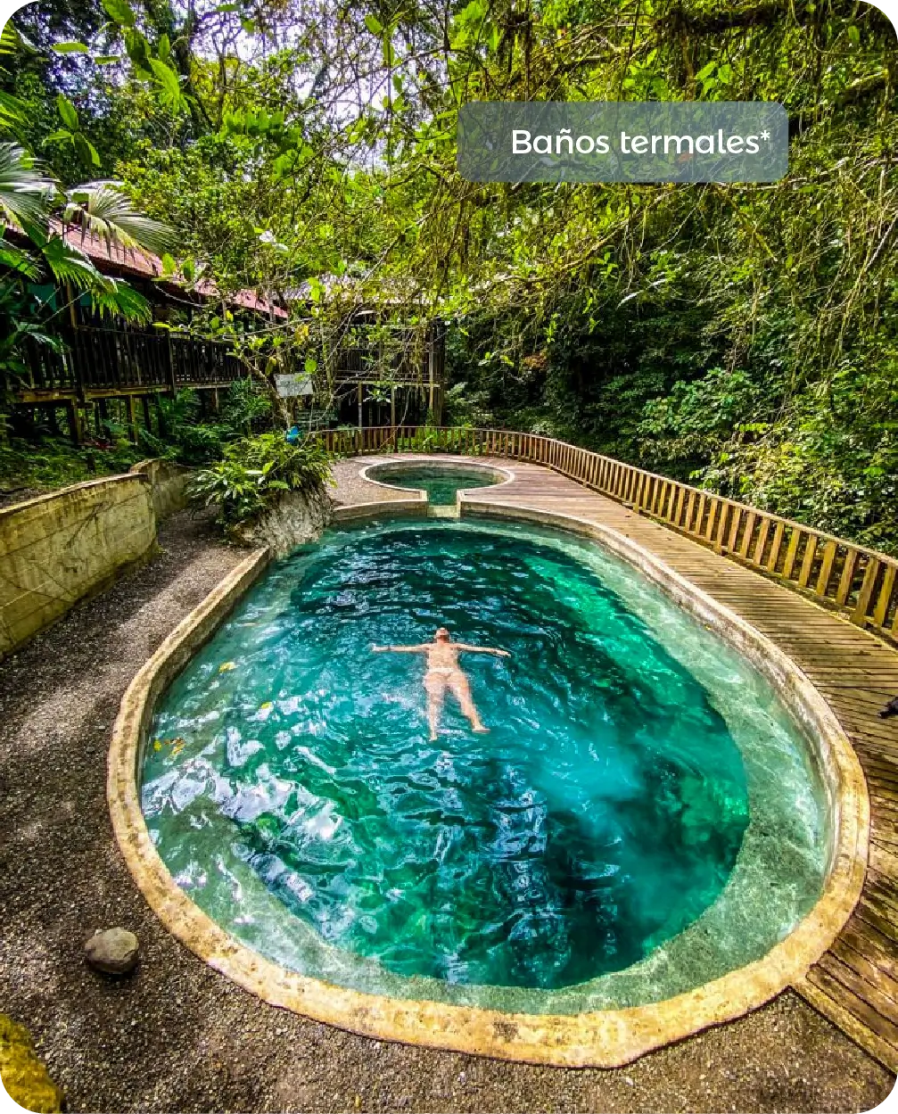 Descubre todos los destinos ecoturísticos de Colombia con Siempre Colombia: Amazonas, La Guajira, Zona Cafetera, Parque Nacional Tayrona, Llanos Orientales, Chocó Biogeográfico, Sierra Nevada de Santa Marta, San Andrés, Guaviare, Putumayo, Caquetá, Santander, Sierra de la Macarena, entre otros. Vive la aventura, biodiversidad, cultura y naturaleza con turismo responsable.