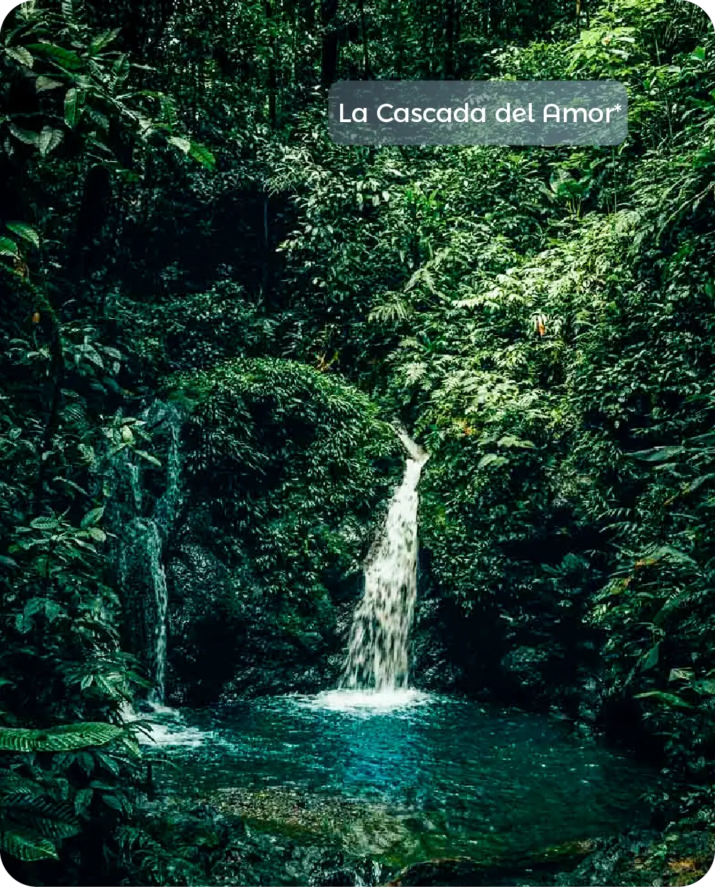 Descubre todos los destinos ecoturísticos de Colombia con Siempre Colombia: Amazonas, La Guajira, Zona Cafetera, Parque Nacional Tayrona, Llanos Orientales, Chocó Biogeográfico, Sierra Nevada de Santa Marta, San Andrés, Guaviare, Putumayo, Caquetá, Santander, Sierra de la Macarena, entre otros. Vive la aventura, biodiversidad, cultura y naturaleza con turismo responsable.