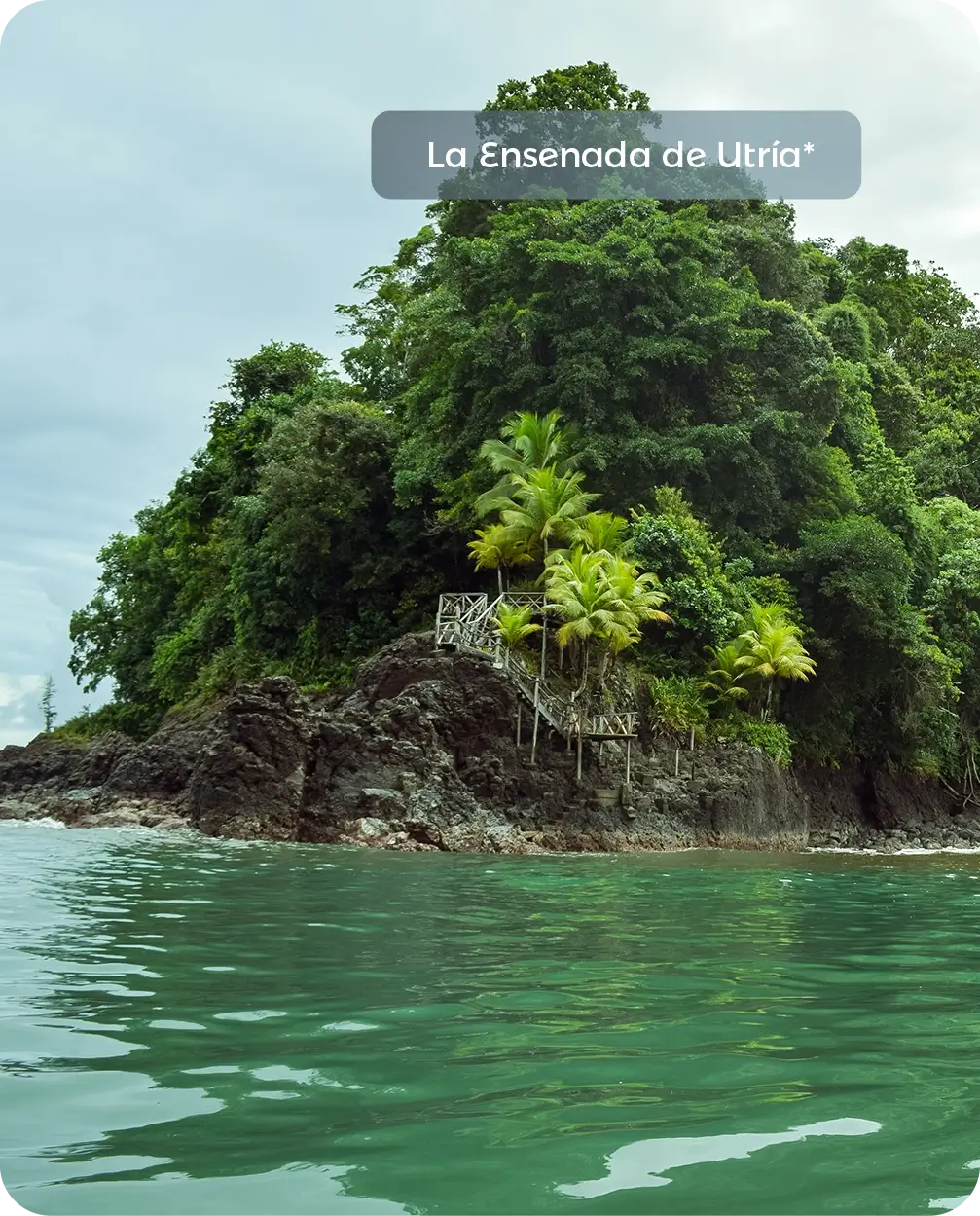 Descubre todos los destinos ecoturísticos de Colombia con Siempre Colombia: Amazonas, La Guajira, Zona Cafetera, Parque Nacional Tayrona, Llanos Orientales, Chocó Biogeográfico, Sierra Nevada de Santa Marta, San Andrés, Guaviare, Putumayo, Caquetá, Santander, Sierra de la Macarena, entre otros. Vive la aventura, biodiversidad, cultura y naturaleza con turismo responsable.