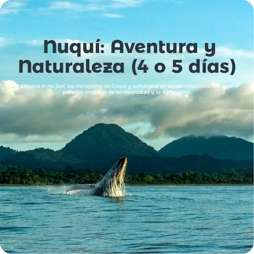 Descubre todos los destinos ecoturísticos de Colombia con Siempre Colombia: Amazonas, La Guajira, Zona Cafetera, Parque Nacional Tayrona, Llanos Orientales, Chocó Biogeográfico, Sierra Nevada de Santa Marta, San Andrés, Guaviare, Putumayo, Caquetá, Santander, Sierra de la Macarena, entre otros. Vive la aventura, biodiversidad, cultura y naturaleza con turismo responsable.