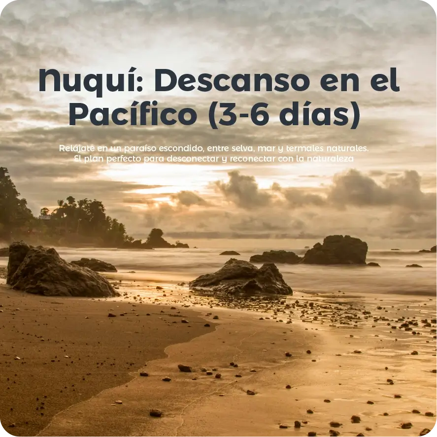 Descubre todos los destinos ecoturísticos de Colombia con Siempre Colombia: Amazonas, La Guajira, Zona Cafetera, Parque Nacional Tayrona, Llanos Orientales, Chocó Biogeográfico, Sierra Nevada de Santa Marta, San Andrés, Guaviare, Putumayo, Caquetá, Santander, Sierra de la Macarena, entre otros. Vive la aventura, biodiversidad, cultura y naturaleza con turismo responsable.