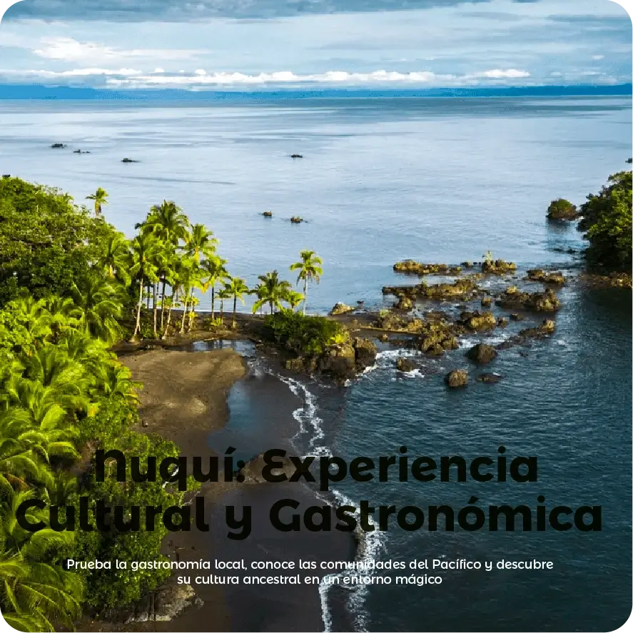Descubre todos los destinos ecoturísticos de Colombia con Siempre Colombia: Amazonas, La Guajira, Zona Cafetera, Parque Nacional Tayrona, Llanos Orientales, Chocó Biogeográfico, Sierra Nevada de Santa Marta, San Andrés, Guaviare, Putumayo, Caquetá, Santander, Sierra de la Macarena, entre otros. Vive la aventura, biodiversidad, cultura y naturaleza con turismo responsable.
