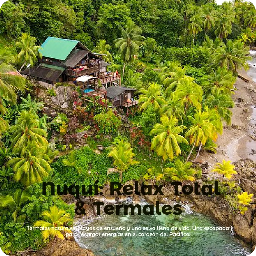 Descubre todos los destinos ecoturísticos de Colombia con Siempre Colombia: Amazonas, La Guajira, Zona Cafetera, Parque Nacional Tayrona, Llanos Orientales, Chocó Biogeográfico, Sierra Nevada de Santa Marta, San Andrés, Guaviare, Putumayo, Caquetá, Santander, Sierra de la Macarena, entre otros. Vive la aventura, biodiversidad, cultura y naturaleza con turismo responsable.