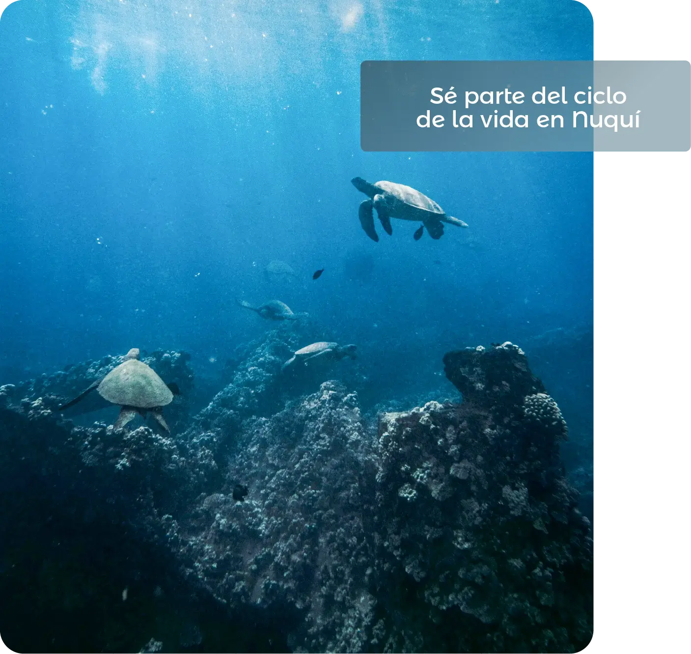 Descubre todos los destinos ecoturísticos de Colombia con Siempre Colombia: Amazonas, La Guajira, Zona Cafetera, Parque Nacional Tayrona, Llanos Orientales, Chocó Biogeográfico, Sierra Nevada de Santa Marta, San Andrés, Guaviare, Putumayo, Caquetá, Santander, Sierra de la Macarena, entre otros. Vive la aventura, biodiversidad, cultura y naturaleza con turismo responsable.