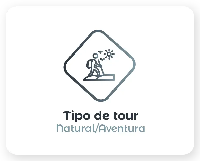 Descubre todos los destinos ecoturísticos de Colombia con Siempre Colombia: Amazonas, La Guajira, Zona Cafetera, Parque Nacional Tayrona, Llanos Orientales, Chocó Biogeográfico, Sierra Nevada de Santa Marta, San Andrés, Guaviare, Putumayo, Caquetá, Santander, Sierra de la Macarena, entre otros. Vive la aventura, biodiversidad, cultura y naturaleza con turismo responsable.