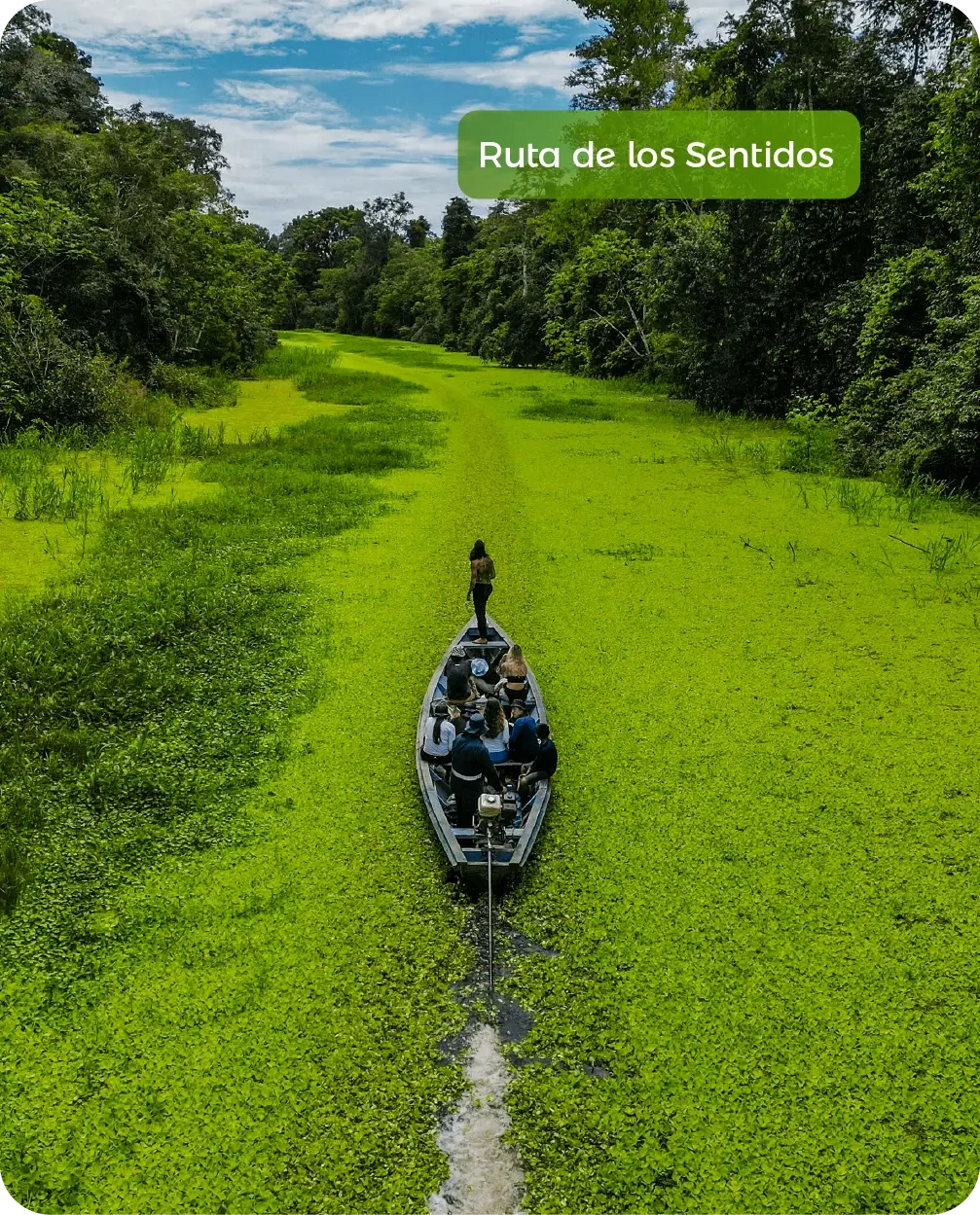 Home Principal - Amazonas_Siempre Colombia - @SiempreCol - Amazonas - Ruta de los Sentidos