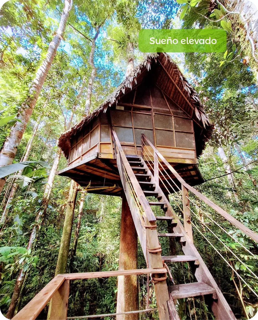 Home Principal - Amazonas_Siempre Colombia - @SiempreCol - Amazonas - Sueño elevado