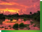 Plan Amazonas - Destino | Plan Amazonas | Arara | El Encanto Amazónico | Kaya Marasha | Plan Amazonas Travesías del Pirarucú Descubre todos los destinos ecoturísticos de Colombia con Siempre Colombia: Amazonas, La Guajira, Zona Cafetera, Parque Nacional Tayrona, Llanos Orientales, Chocó Biogeográfico, Sierra Nevada de Santa Marta, San Andrés, Guaviare, Putumayo, Caquetá, Santander, Sierra de la Macarena, entre otros. Vive la aventura, biodiversidad, cultura y naturaleza con turismo responsable.