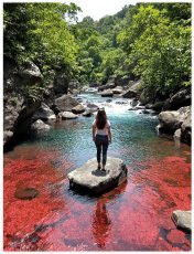 Viaje a Caño Cristales con Meet and Travel: aventura, naturaleza, caminatas y cultura en el río más hermoso del mundo