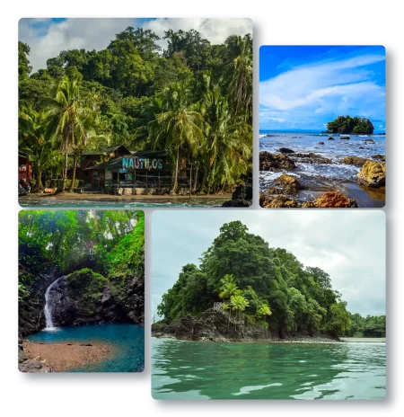 Descubre todos los destinos ecoturísticos de Colombia con Siempre Colombia: Amazonas, La Guajira, Zona Cafetera, Parque Nacional Tayrona, Llanos Orientales, Chocó Biogeográfico, Sierra Nevada de Santa Marta, San Andrés, Guaviare, Putumayo, Caquetá, Santander, Sierra de la Macarena, entre otros. Vive la aventura, biodiversidad, cultura y naturaleza con turismo responsable.