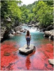 Descubre todos los destinos ecoturísticos de Colombia con Siempre Colombia: Amazonas, La Guajira, Zona Cafetera, Parque Nacional Tayrona, Llanos Orientales, Chocó Biogeográfico, Sierra Nevada de Santa Marta, San Andrés, Guaviare, Putumayo, Caquetá, Santander, Sierra de la Macarena, entre otros. Vive la aventura, biodiversidad, cultura y naturaleza con turismo responsable.