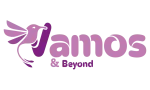 https://vamosandbeyond.com/